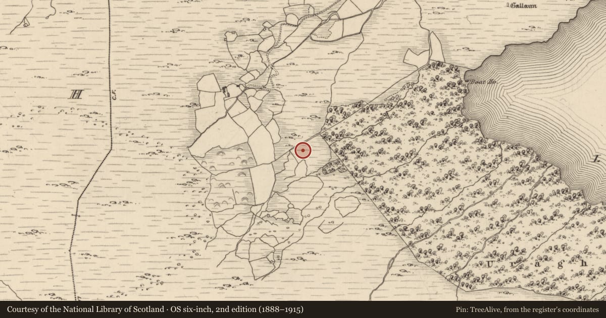 Ordnance Survey six-inch map, 2nd edition (1888–1915) covering the location of Boulder-burial, Uragh, County Kerry, with a pin at the register's coordinates