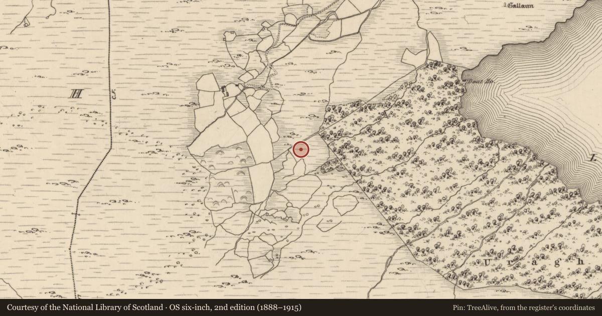 Ordnance Survey six-inch map, 2nd edition (1888–1915) covering the location of Boulder-burial, Uragh, County Kerry, with a pin at the register's coordinates