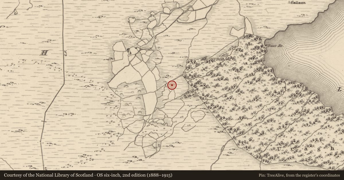 Ordnance Survey six-inch map, 2nd edition (1888–1915) covering the location of Standing stone, Uragh, County Kerry, with a pin at the register's coordinates
