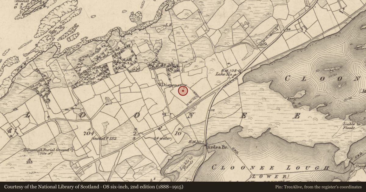 Ordnance Survey six-inch map, 2nd edition (1888–1915) covering the location of Souterrain, Cloonee, County Kerry, with a pin at the register's coordinates