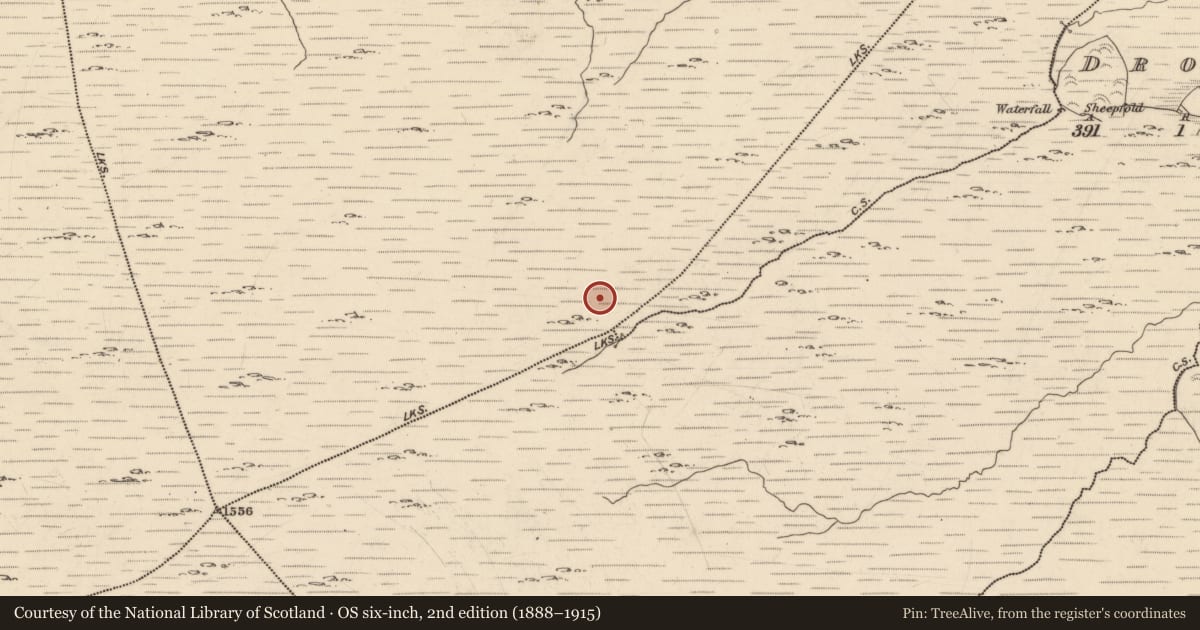 Ordnance Survey six-inch map, 2nd edition (1888–1915) covering the location of Cairn - unclassified, Carks, County Kerry, with a pin at the register's coordinates