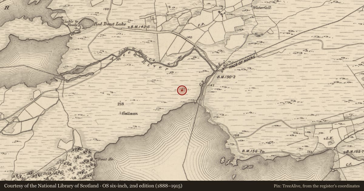 Ordnance Survey six-inch map, 2nd edition (1888–1915) covering the location of Standing stone, Uragh, County Kerry, with a pin at the register's coordinates