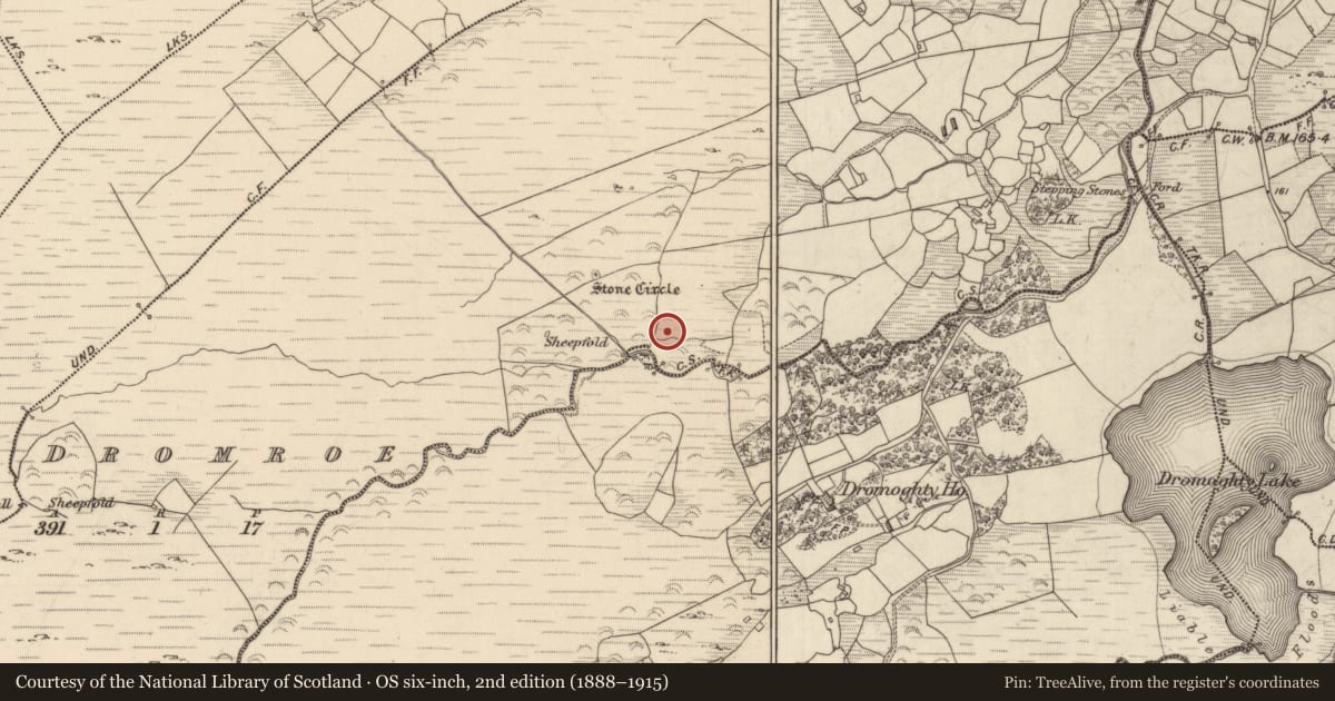 Ordnance Survey six-inch map, 2nd edition (1888–1915) covering the location of Fulacht fia, Dromroe, County Kerry, with a pin at the register's coordinates