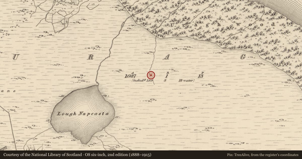 Ordnance Survey six-inch map, 2nd edition (1888–1915) covering the location of Fulacht fia, Uragh, County Kerry, with a pin at the register's coordinates