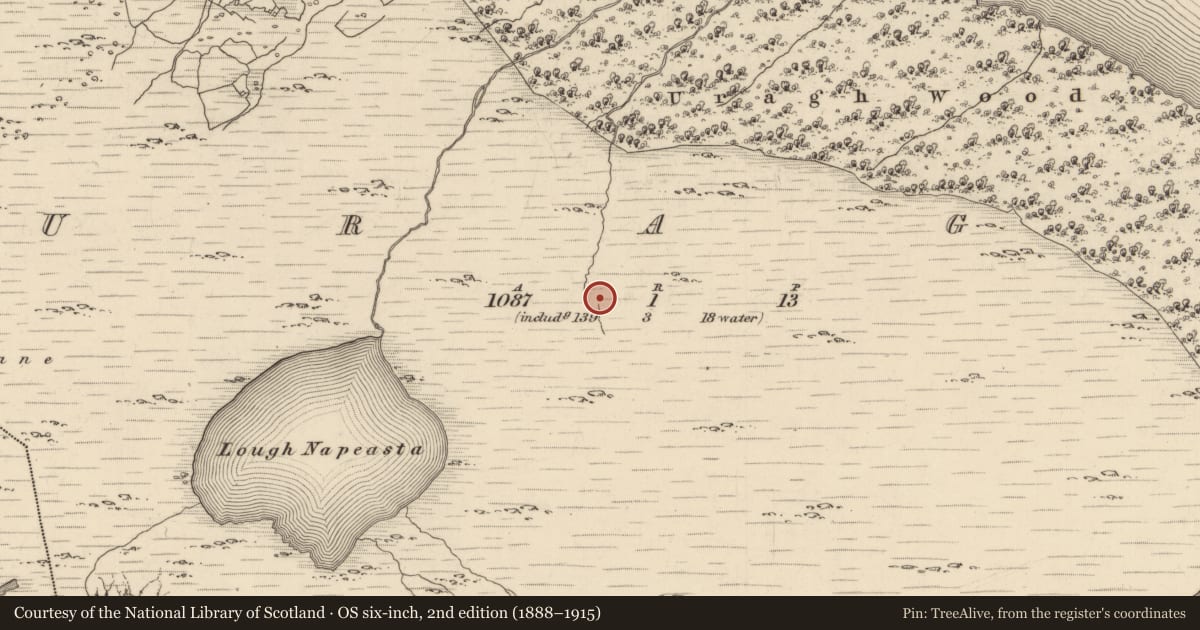 Ordnance Survey six-inch map, 2nd edition (1888–1915) covering the location of Fulacht fia, Uragh, County Kerry, with a pin at the register's coordinates