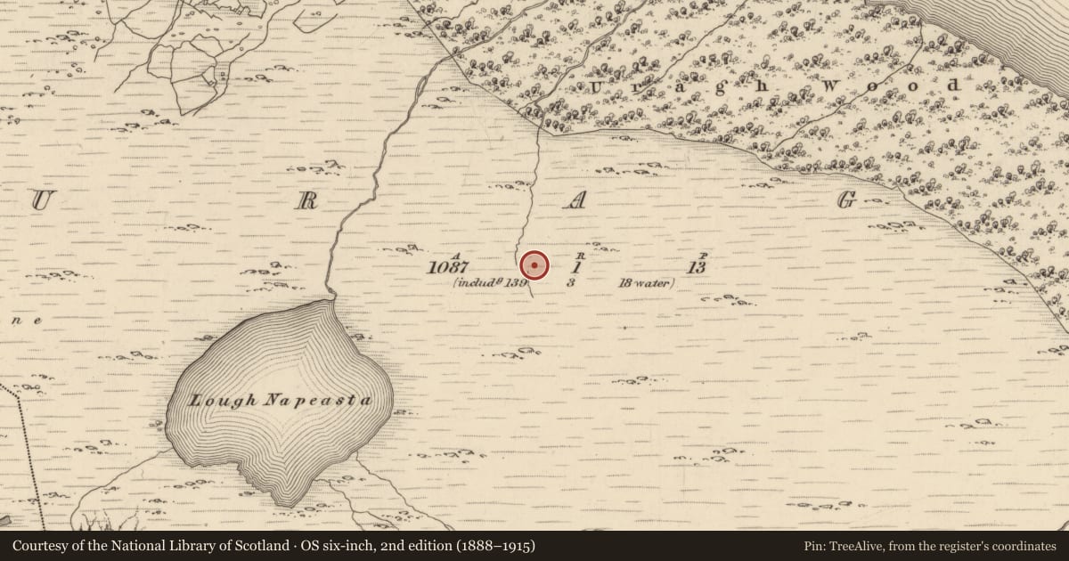 Ordnance Survey six-inch map, 2nd edition (1888–1915) covering the location of Fulacht fia, Uragh, County Kerry, with a pin at the register's coordinates