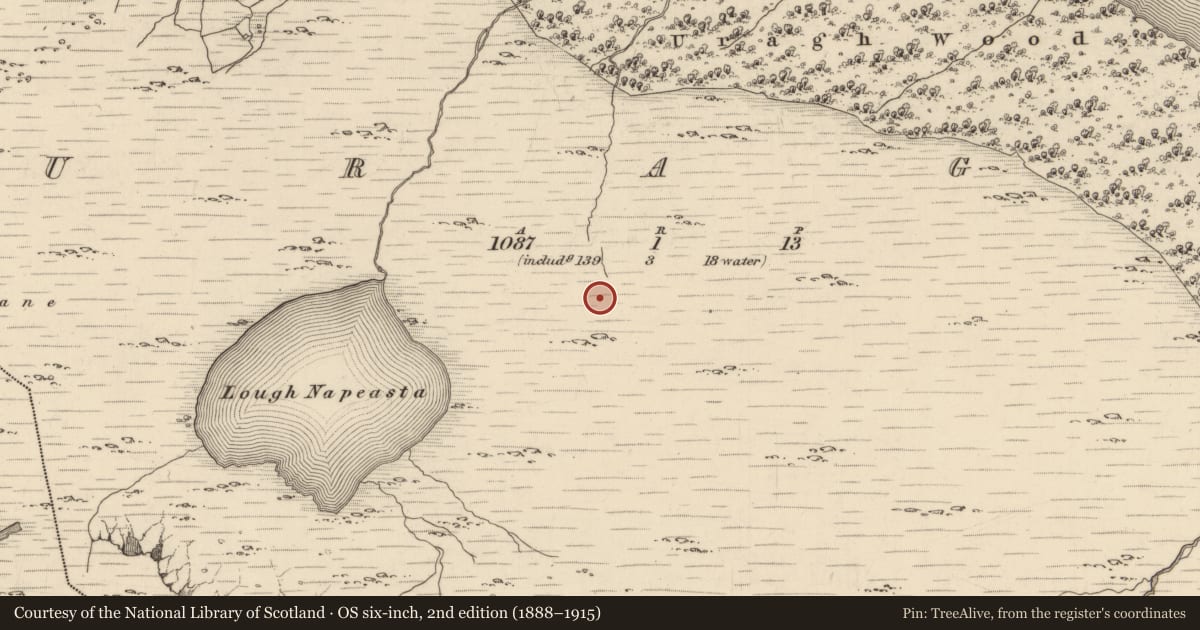 Ordnance Survey six-inch map, 2nd edition (1888–1915) covering the location of Fulacht fia, Uragh, County Kerry, with a pin at the register's coordinates