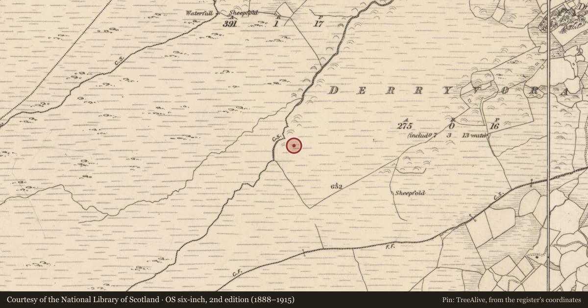Ordnance Survey six-inch map, 2nd edition (1888–1915) covering the location of Megalithic structure, Derryvorahig, County Kerry, with a pin at the register's coordinates