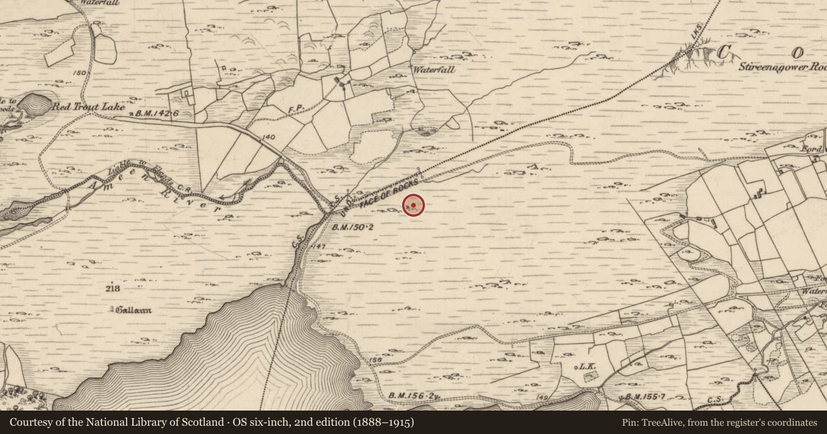 Ordnance Survey six-inch map, 2nd edition (1888–1915) covering the location of Boulder-burial, Cooryeen, County Kerry, with a pin at the register's coordinates