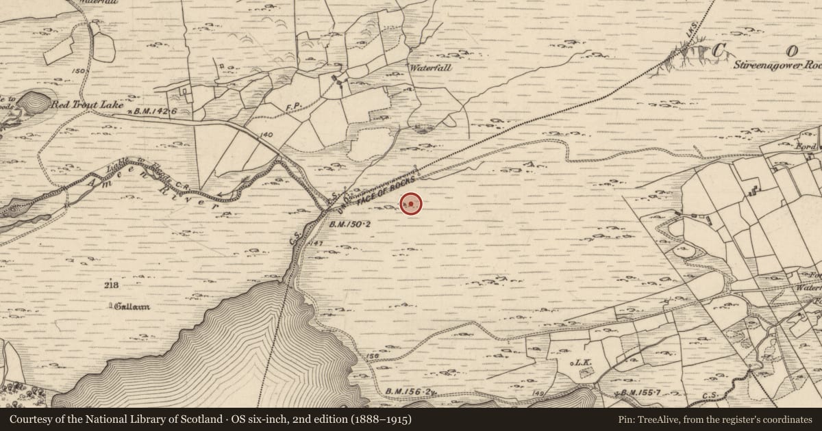 Ordnance Survey six-inch map, 2nd edition (1888–1915) covering the location of Standing stone, Cooryeen, County Kerry, with a pin at the register's coordinates