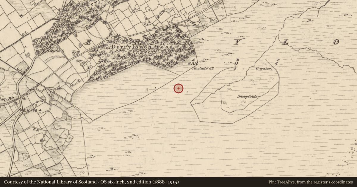 Ordnance Survey six-inch map, 2nd edition (1888–1915) covering the location of Cairn - unclassified, Derrylough, County Kerry, with a pin at the register's coordinates