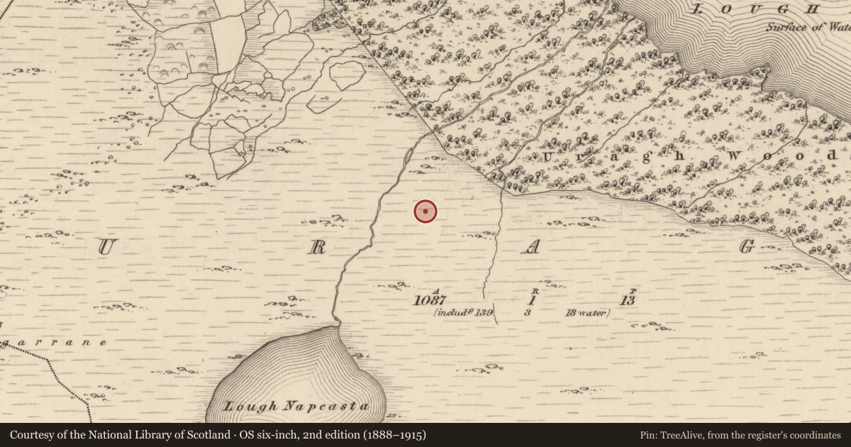 Ordnance Survey six-inch map, 2nd edition (1888–1915) covering the location of Enclosure, Uragh, County Kerry, with a pin at the register's coordinates