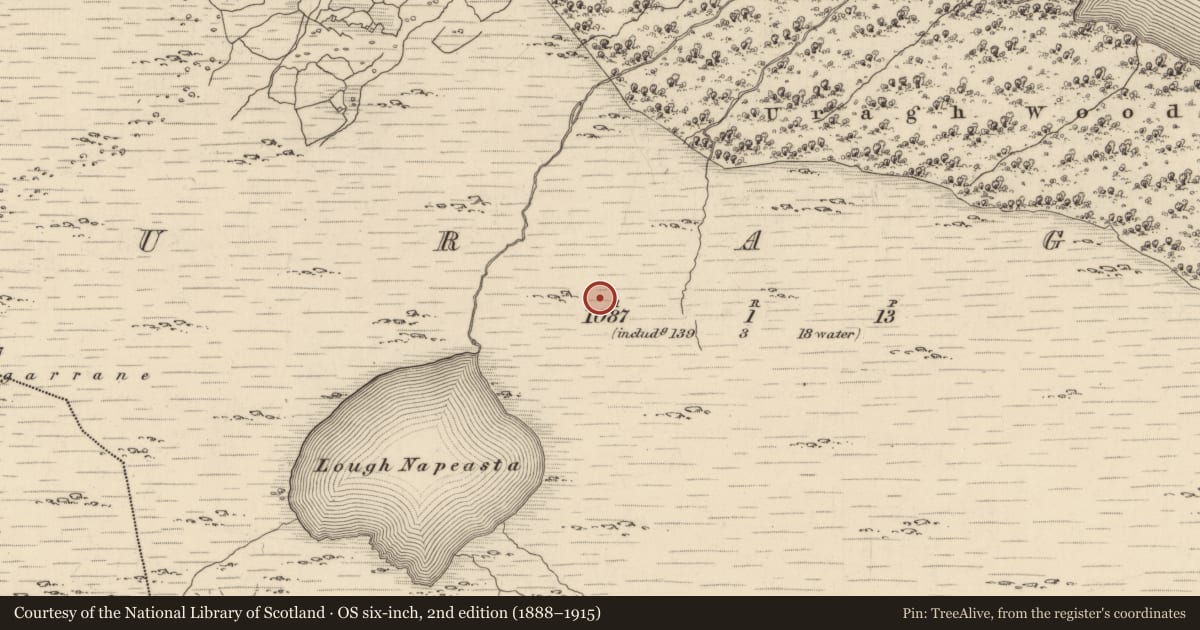 Ordnance Survey six-inch map, 2nd edition (1888–1915) covering the location of Hut site, Uragh, County Kerry, with a pin at the register's coordinates