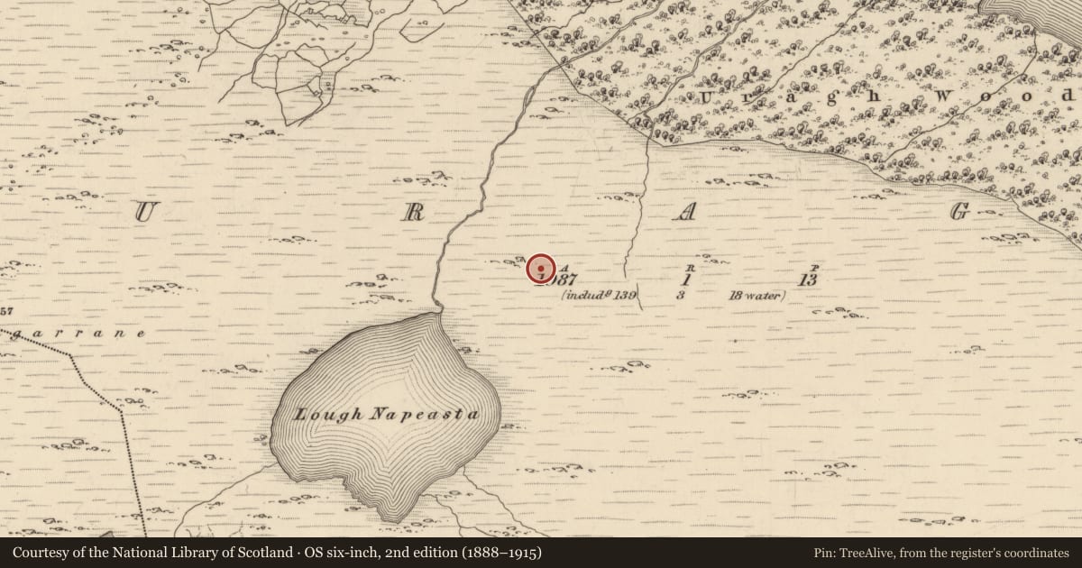 Ordnance Survey six-inch map, 2nd edition (1888–1915) covering the location of Hut site, Uragh, County Kerry, with a pin at the register's coordinates