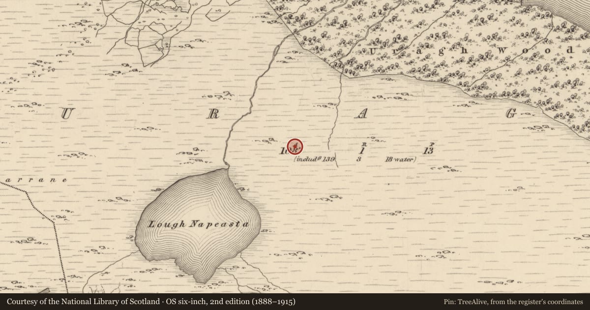 Ordnance Survey six-inch map, 2nd edition (1888–1915) covering the location of Fulacht fia, Uragh, County Kerry, with a pin at the register's coordinates