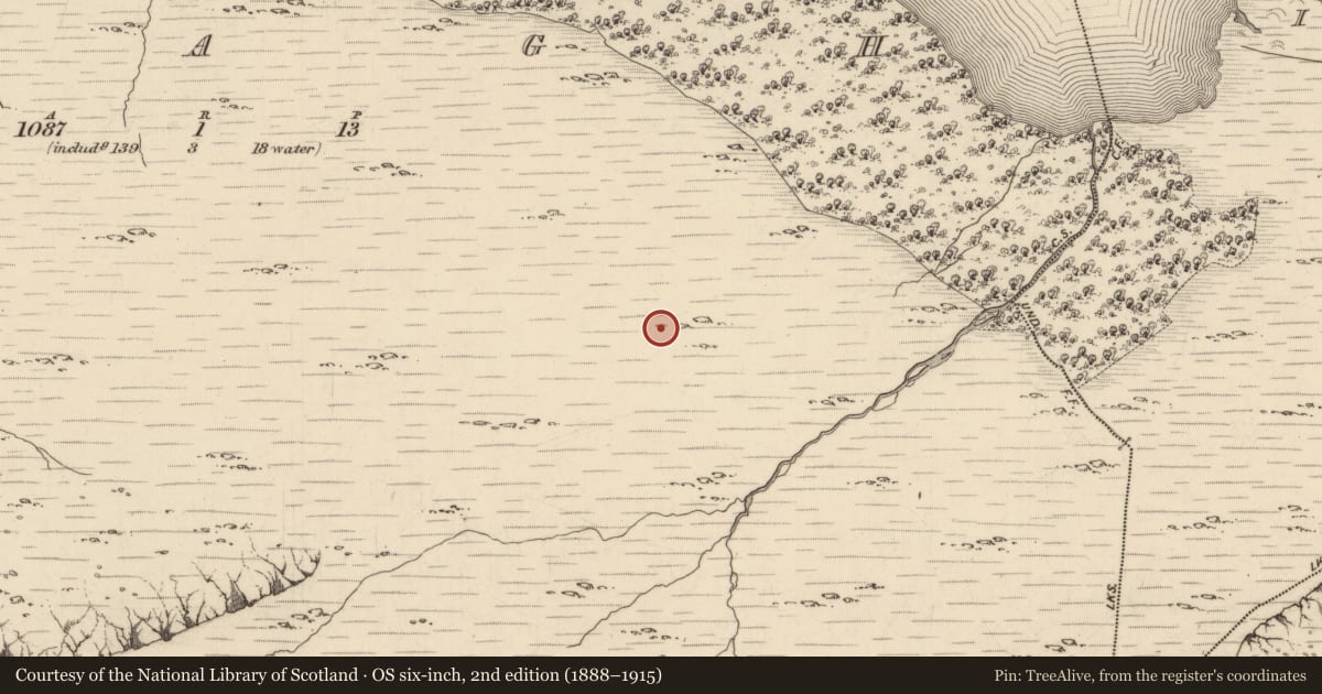 Ordnance Survey six-inch map, 2nd edition (1888–1915) covering the location of Hut site, Uragh, County Kerry, with a pin at the register's coordinates