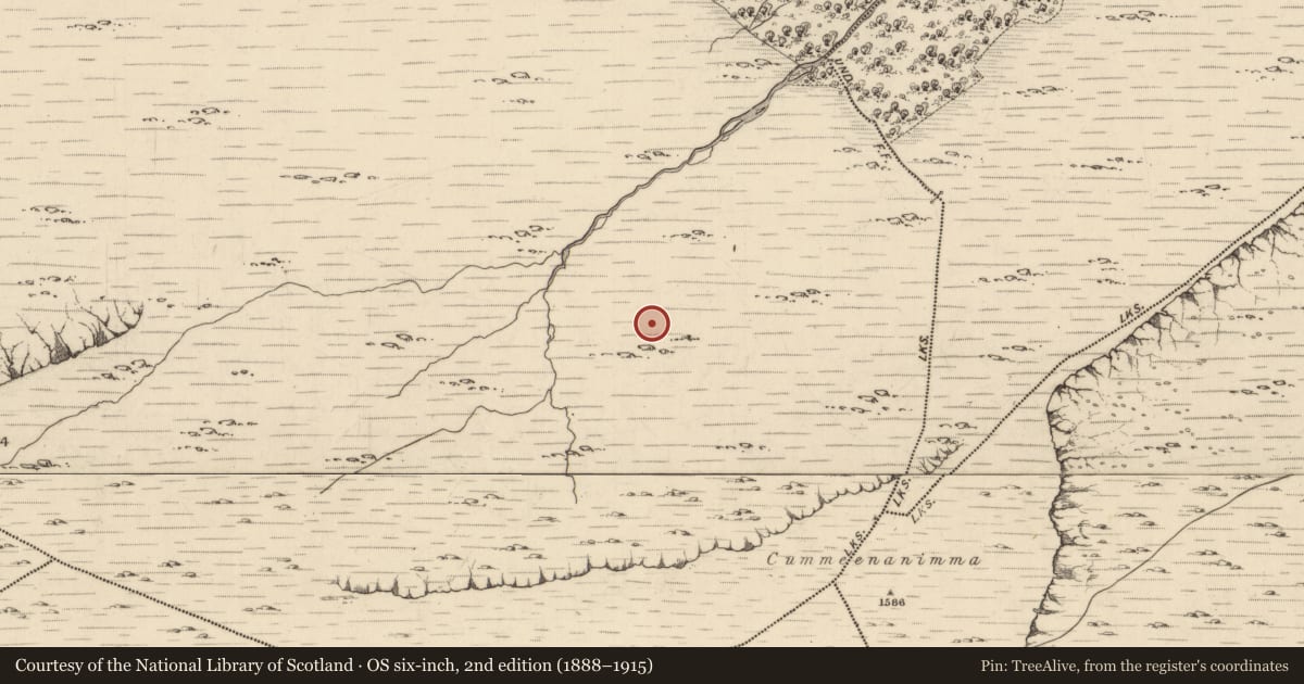 Ordnance Survey six-inch map, 2nd edition (1888–1915) covering the location of Enclosure, Uragh, County Kerry, with a pin at the register's coordinates