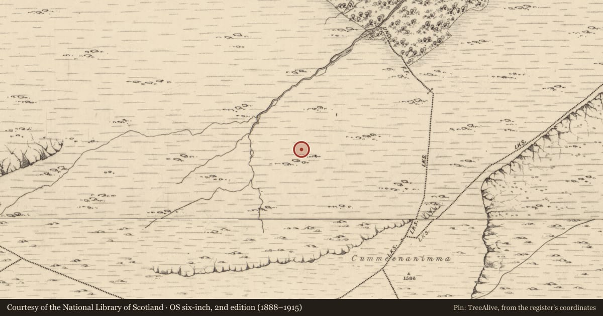 Ordnance Survey six-inch map, 2nd edition (1888–1915) covering the location of Hut site, Uragh, County Kerry, with a pin at the register's coordinates
