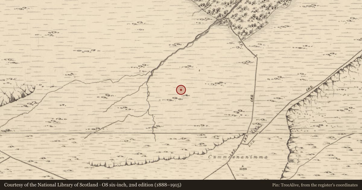 Ordnance Survey six-inch map, 2nd edition (1888–1915) covering the location of Hut site, Uragh, County Kerry, with a pin at the register's coordinates