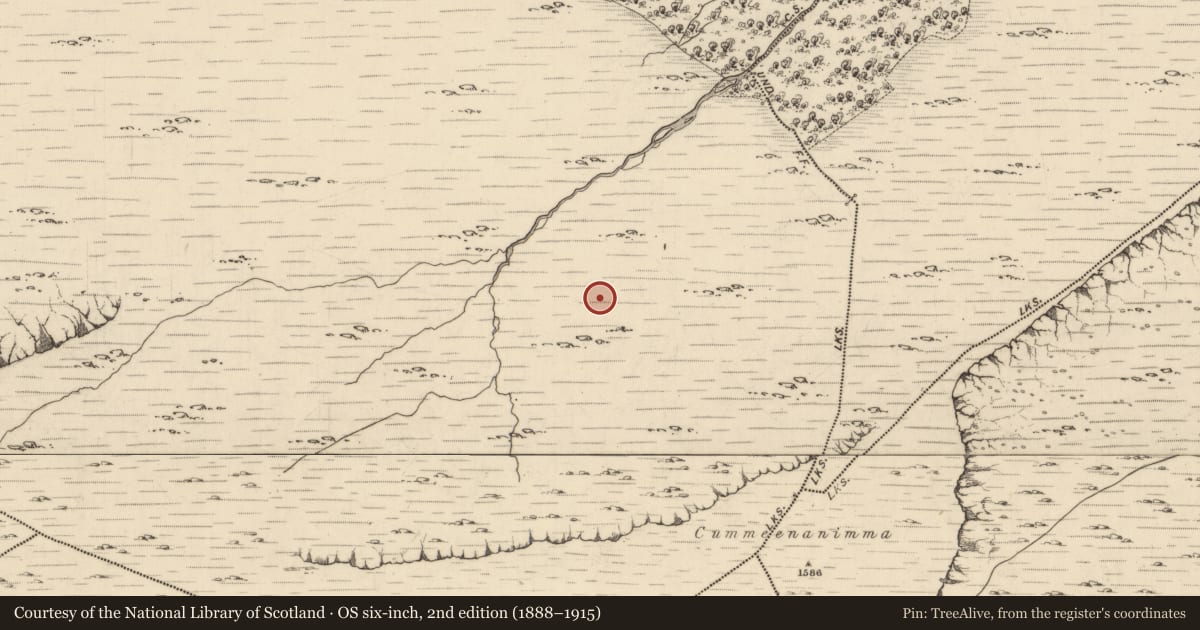 Ordnance Survey six-inch map, 2nd edition (1888–1915) covering the location of Hut site, Uragh, County Kerry, with a pin at the register's coordinates