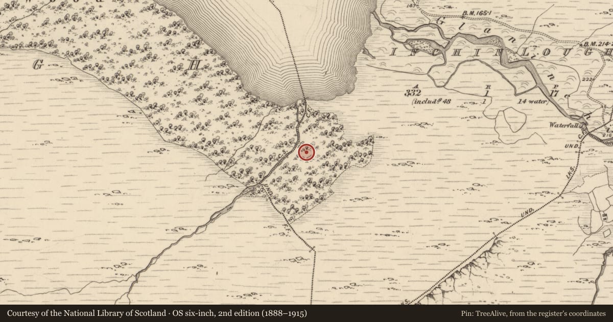 Ordnance Survey six-inch map, 2nd edition (1888–1915) covering the location of Charcoal-making site, Inchinlough, County Kerry, with a pin at the register's coordinates