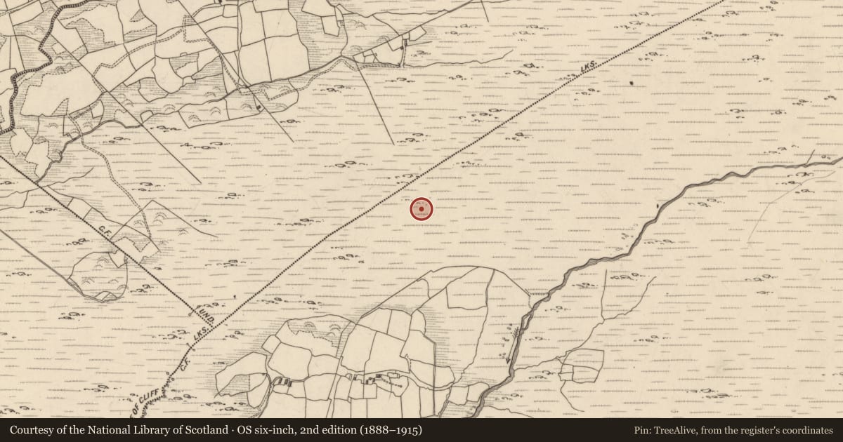 Ordnance Survey six-inch map, 2nd edition (1888–1915) covering the location of Megalithic tomb - wedge tomb, Maulagowna, County Kerry, with a pin at the register's coordinates