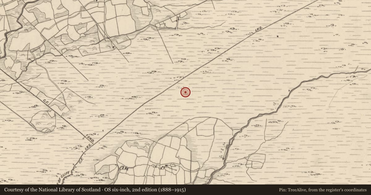 Ordnance Survey six-inch map, 2nd edition (1888–1915) covering the location of Cist, Maulagowna, County Kerry, with a pin at the register's coordinates