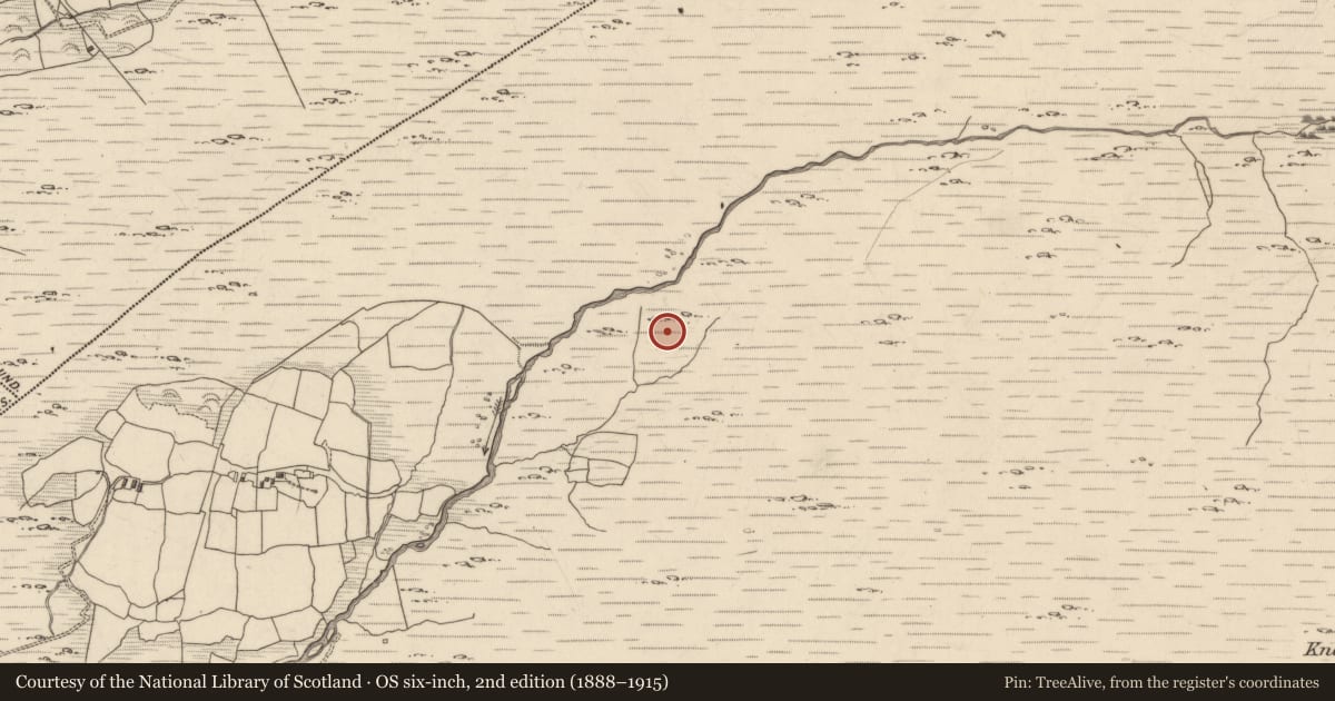 Ordnance Survey six-inch map, 2nd edition (1888–1915) covering the location of Field boundary, Maulagowna, County Kerry, with a pin at the register's coordinates
