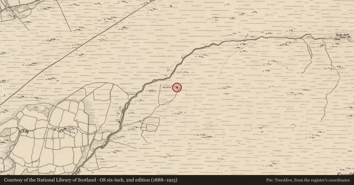 Ordnance Survey six-inch map, 2nd edition (1888–1915) covering the location of Fulacht fia, Maulagowna, County Kerry, with a pin at the register's coordinates