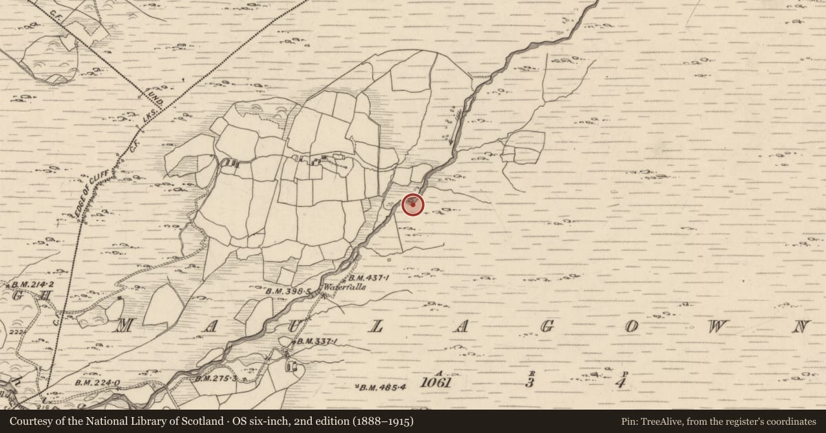 Ordnance Survey six-inch map, 2nd edition (1888–1915) covering the location of Field boundary, Maulagowna, County Kerry, with a pin at the register's coordinates