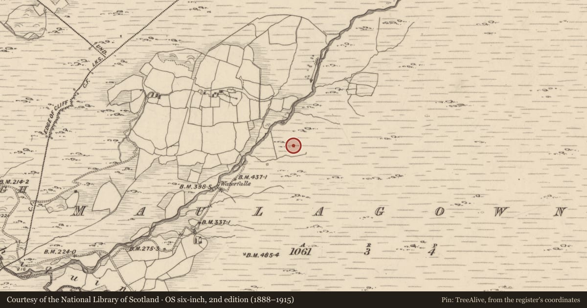 Ordnance Survey six-inch map, 2nd edition (1888–1915) covering the location of Hut site, Maulagowna, County Kerry, with a pin at the register's coordinates