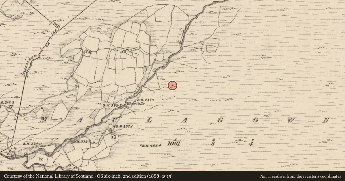 Ordnance Survey six-inch map, 2nd edition (1888–1915) covering the location of Hut site, Maulagowna, County Kerry, with a pin at the register's coordinates