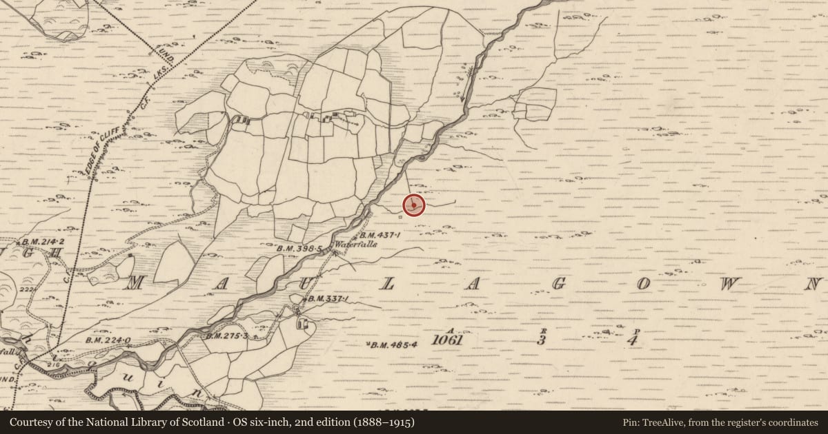 Ordnance Survey six-inch map, 2nd edition (1888–1915) covering the location of Hut site, Maulagowna, County Kerry, with a pin at the register's coordinates
