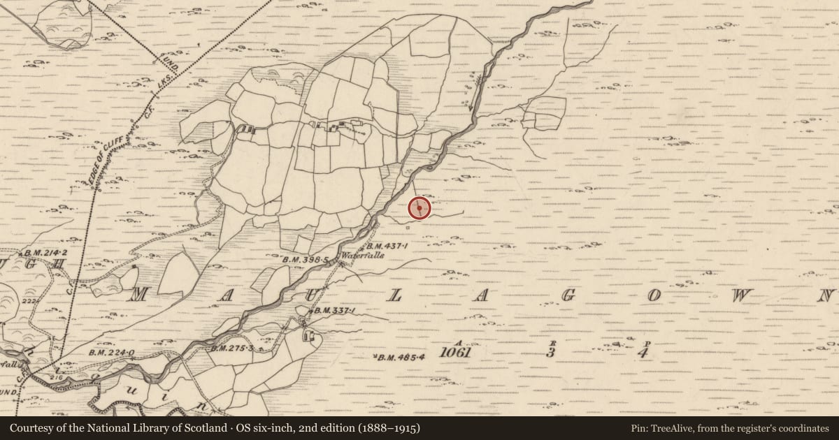 Ordnance Survey six-inch map, 2nd edition (1888–1915) covering the location of Hut site, Maulagowna, County Kerry, with a pin at the register's coordinates
