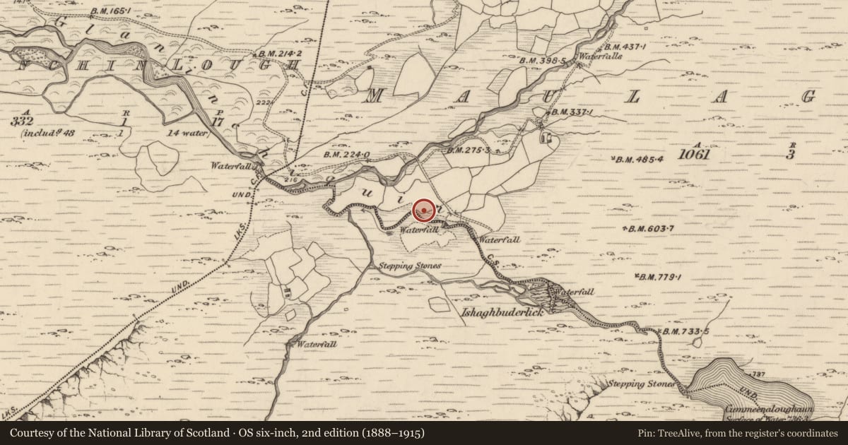 Ordnance Survey six-inch map, 2nd edition (1888–1915) covering the location of Burnt spread, Maulagowna, County Kerry, with a pin at the register's coordinates