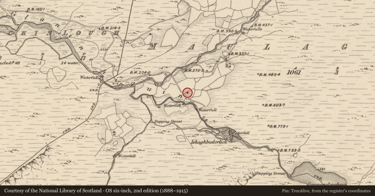 Ordnance Survey six-inch map, 2nd edition (1888–1915) covering the location of Burnt spread, Maulagowna, County Kerry, with a pin at the register's coordinates