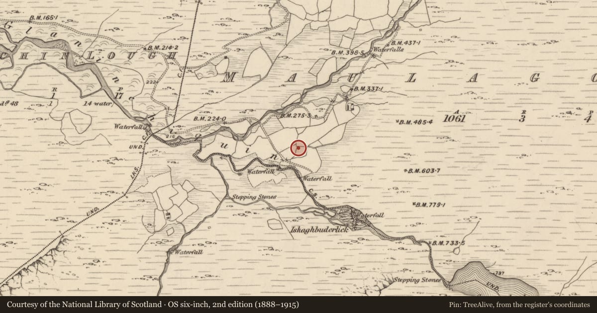 Ordnance Survey six-inch map, 2nd edition (1888–1915) covering the location of Fulacht fia, Maulagowna, County Kerry, with a pin at the register's coordinates
