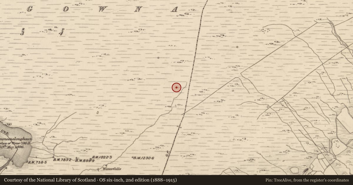Ordnance Survey six-inch map, 2nd edition (1888–1915) covering the location of Hut site, Maulagowna, County Kerry, with a pin at the register's coordinates