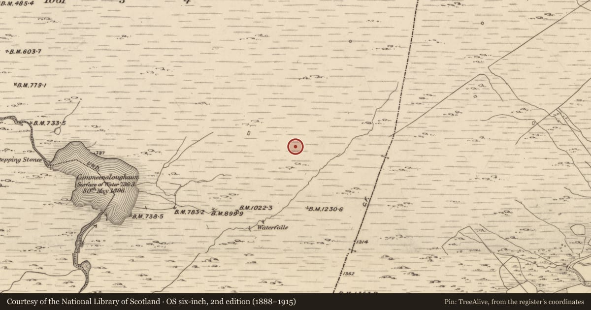 Ordnance Survey six-inch map, 2nd edition (1888–1915) covering the location of Enclosure, Maulagowna, County Kerry, with a pin at the register's coordinates