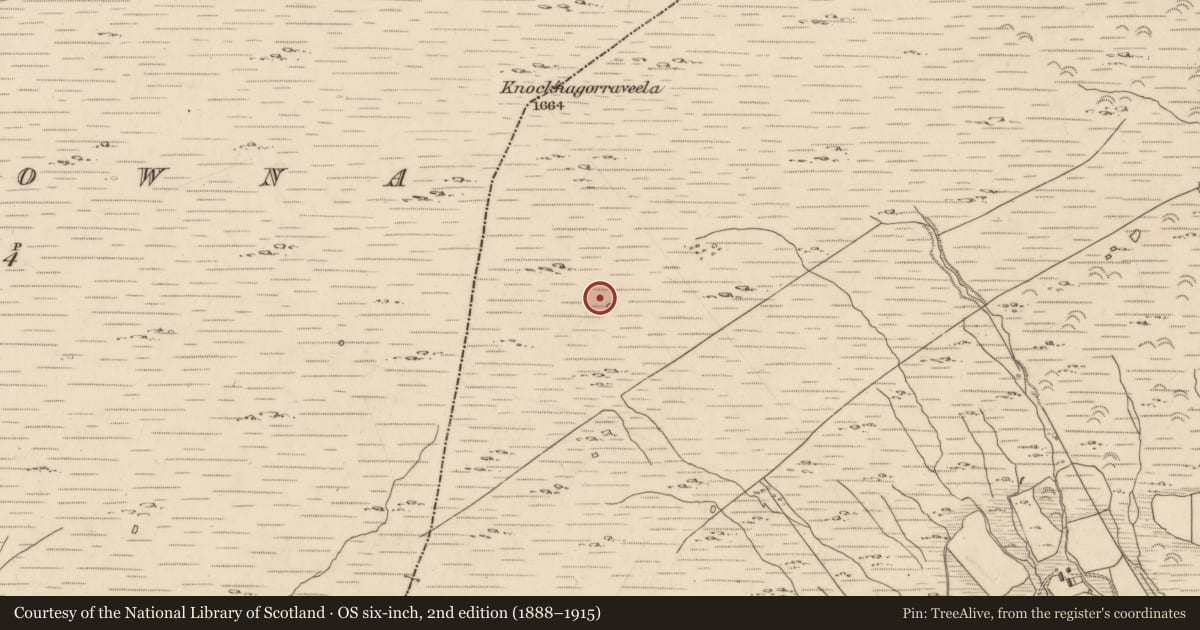 Ordnance Survey six-inch map, 2nd edition (1888–1915) covering the location of Megalithic tomb - wedge tomb, Baurearagh, County Kerry, with a pin at the register's coordinates