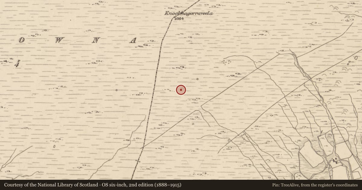 Ordnance Survey six-inch map, 2nd edition (1888–1915) covering the location of Hut site, Baurearagh, County Kerry, with a pin at the register's coordinates
