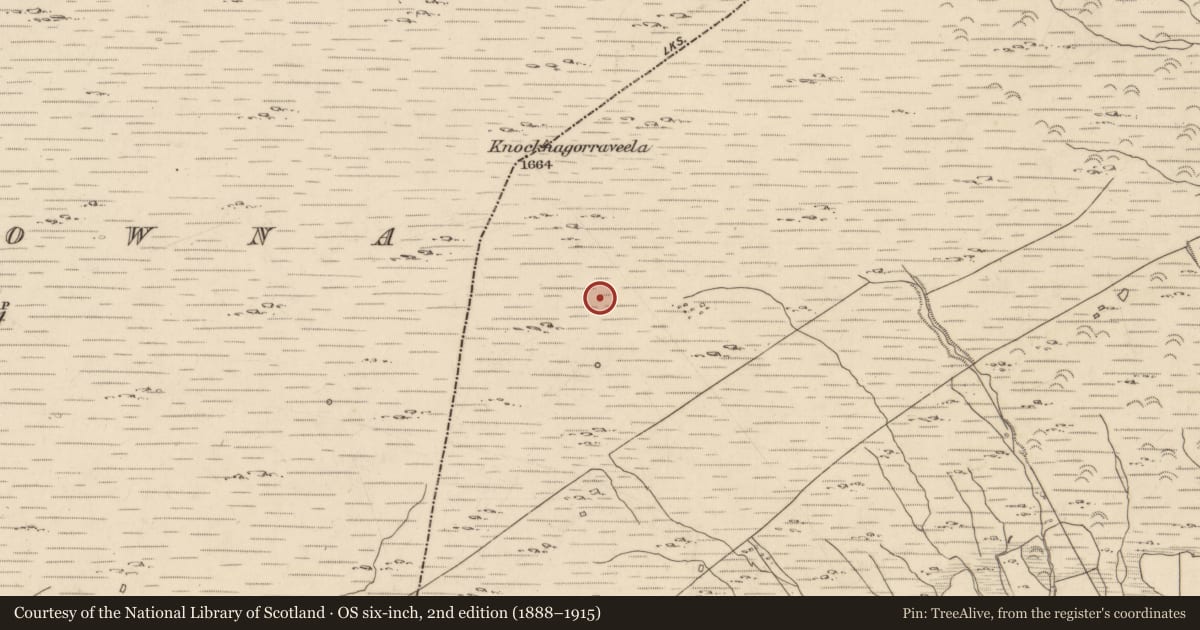 Ordnance Survey six-inch map, 2nd edition (1888–1915) covering the location of Standing stone, Baurearagh, County Kerry, with a pin at the register's coordinates