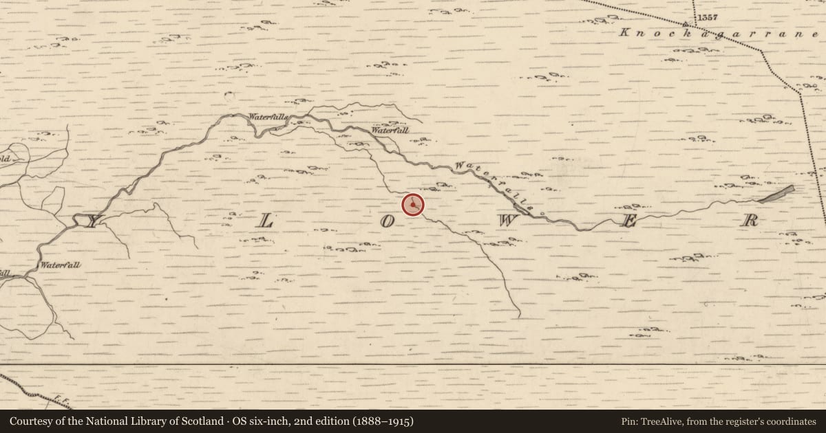 Ordnance Survey six-inch map, 2nd edition (1888–1915) covering the location of Hut site, Drombohilly Lower, County Kerry, with a pin at the register's coordinates
