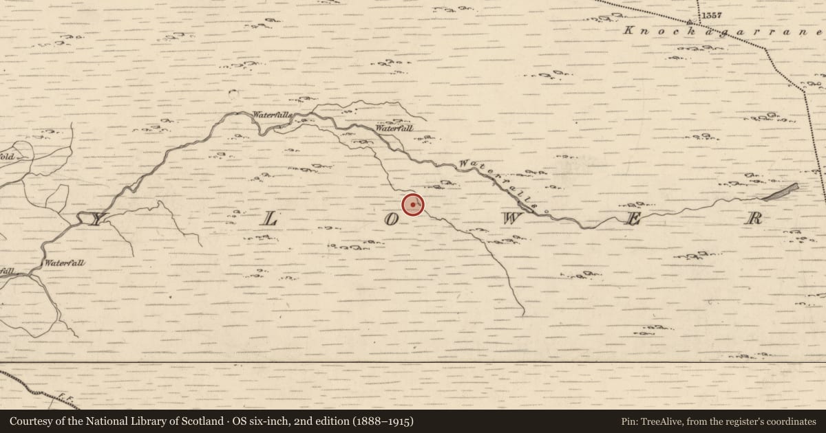 Ordnance Survey six-inch map, 2nd edition (1888–1915) covering the location of Field boundary, Drombohilly Lower, County Kerry, with a pin at the register's coordinates