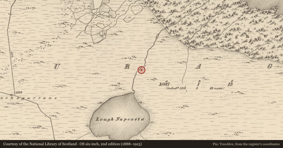 Ordnance Survey six-inch map, 2nd edition (1888–1915) covering the location of Fulacht fia, Uragh, County Kerry, with a pin at the register's coordinates