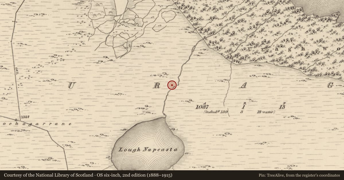 Ordnance Survey six-inch map, 2nd edition (1888–1915) covering the location of Fulacht fia, Uragh, County Kerry, with a pin at the register's coordinates