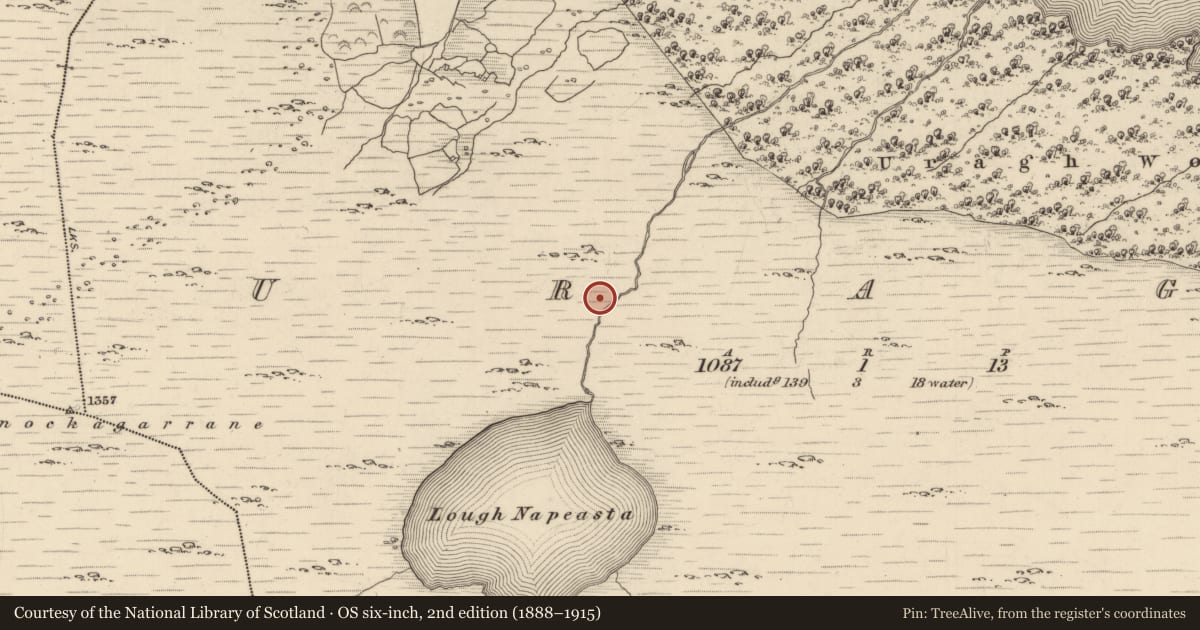 Ordnance Survey six-inch map, 2nd edition (1888–1915) covering the location of Fulacht fia, Uragh, County Kerry, with a pin at the register's coordinates