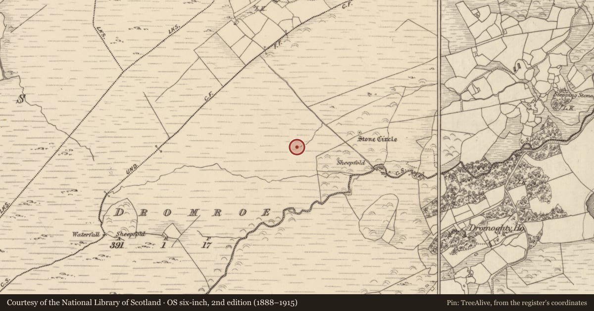 Ordnance Survey six-inch map, 2nd edition (1888–1915) covering the location of Hut site, Dromroe, County Kerry, with a pin at the register's coordinates