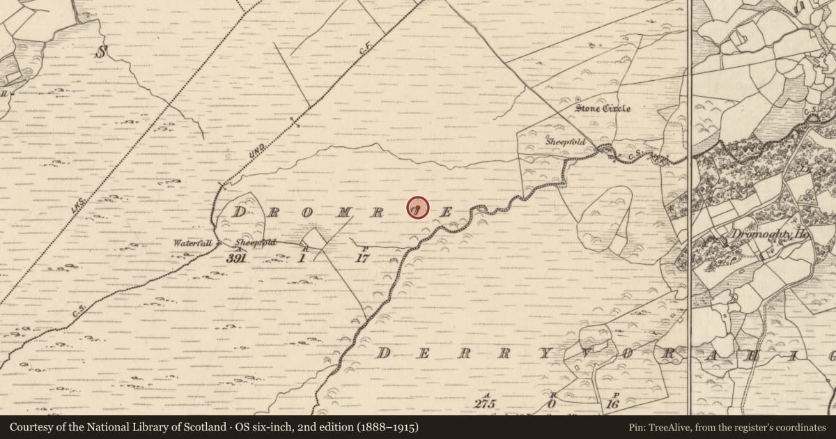 Ordnance Survey six-inch map, 2nd edition (1888–1915) covering the location of Field boundary, Dromroe, County Kerry, with a pin at the register's coordinates