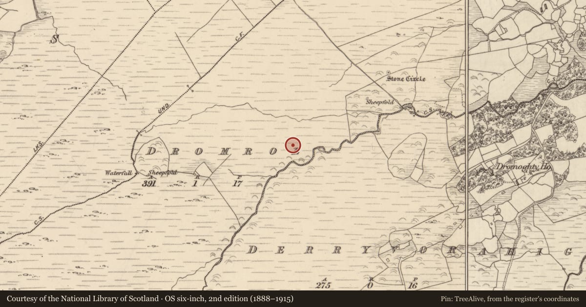 Ordnance Survey six-inch map, 2nd edition (1888–1915) covering the location of Cairn - unclassified, Dromroe, County Kerry, with a pin at the register's coordinates